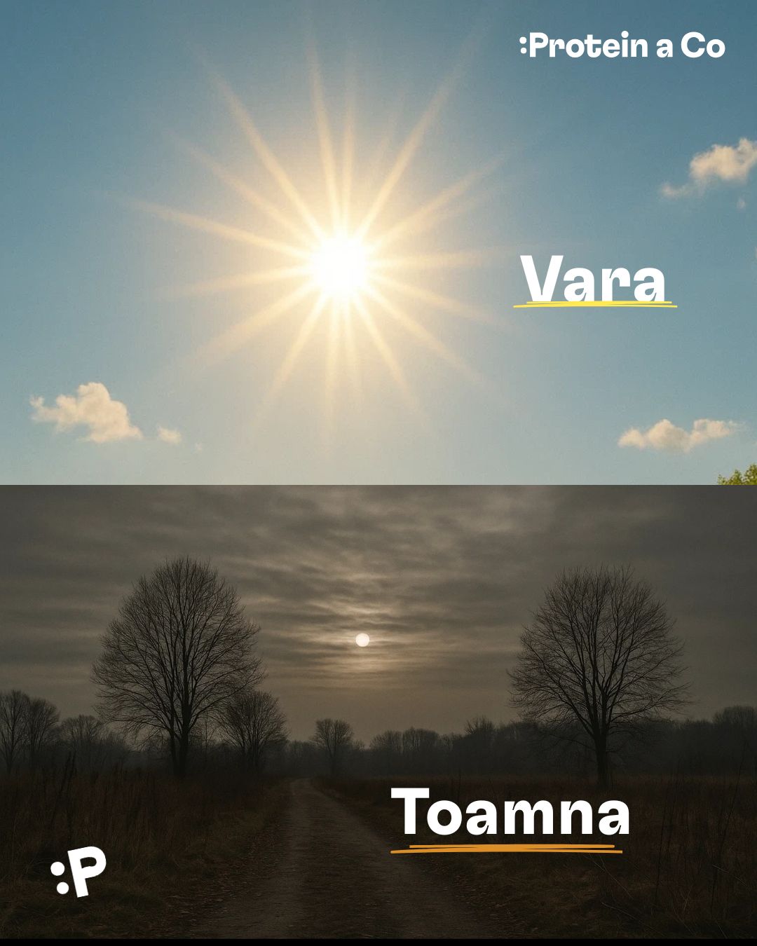 Vitamin-D-slunce-ktere-nam-chybi-2-RO-clanek-proteinaco